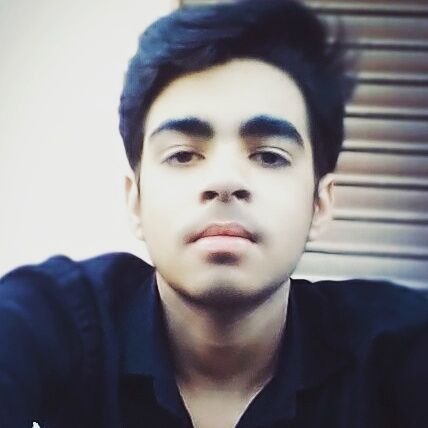 AmaanYal's profile picture. Honesty ( 100%)