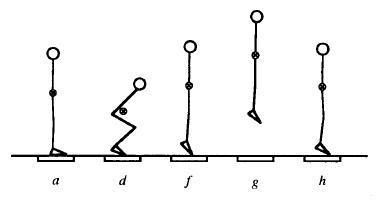biomechanics and mocap but mainly here for the cats