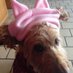 Cindy Klose (@cindyklose) Twitter profile photo Cindy Klose (@cindyklose) Twitter profile photo