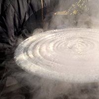 Dosa Days (@mydosadays) 's Twitter Profile