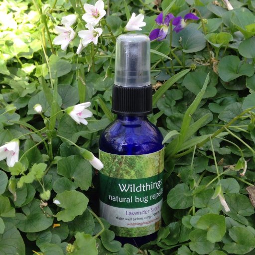 this_wildthing's profile picture. Makers of outrageously good 100% natural bug-spray. Adventurers, artists, lovers of life... often happily wandering. #WildThings