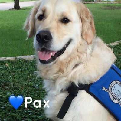 Pax Comfort Dog Profile