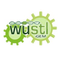 WashU iGEM (@washuigem) 's Twitter Profile