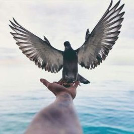 RandomWorldTwit's profile picture. Tweet about random things