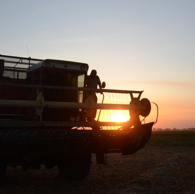 Noticias del Agro Venezolano