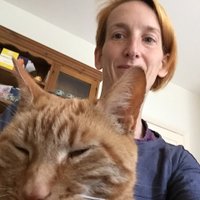 Prof Bryony Whitmarsh (@bryonywhitmarsh) 's Twitter Profile