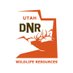 UtahDWR (@UtahDWR) Twitter profile photo