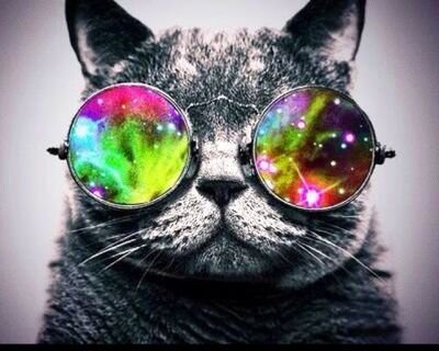 PerryAndLisa's profile picture. 