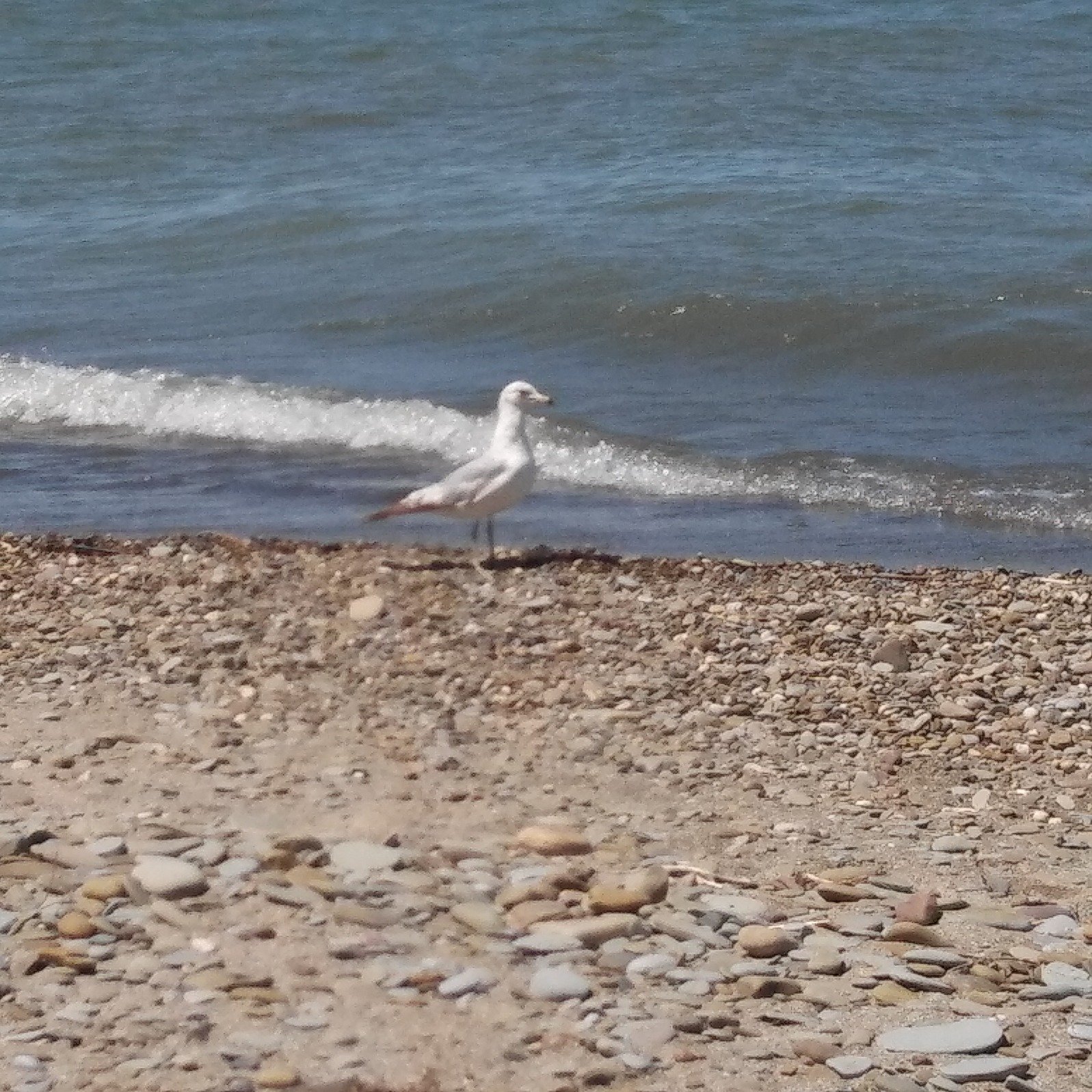 klc71860's profile picture. Mom, Daughter, Sister, Grandma.. Democrat, Never Trump