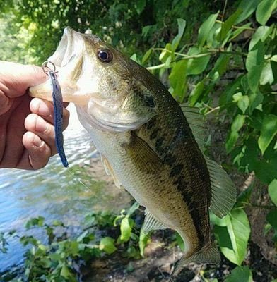 American made Lures With American products they work in fresh and salt water #fishing 🎣