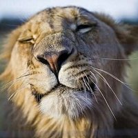 MercedesDfu (@mercedesdfu) 's Twitter Profile