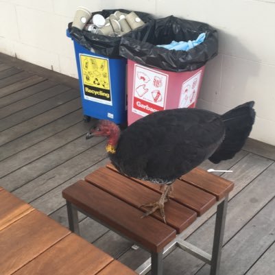 Fart69Simpson's profile picture. 140 character man