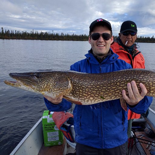 DanLippold's profile picture. 