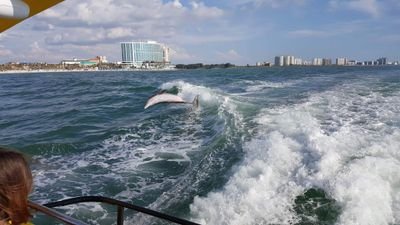 OthmaneElassal's profile picture. https://t.co/qWVgw9jXUq