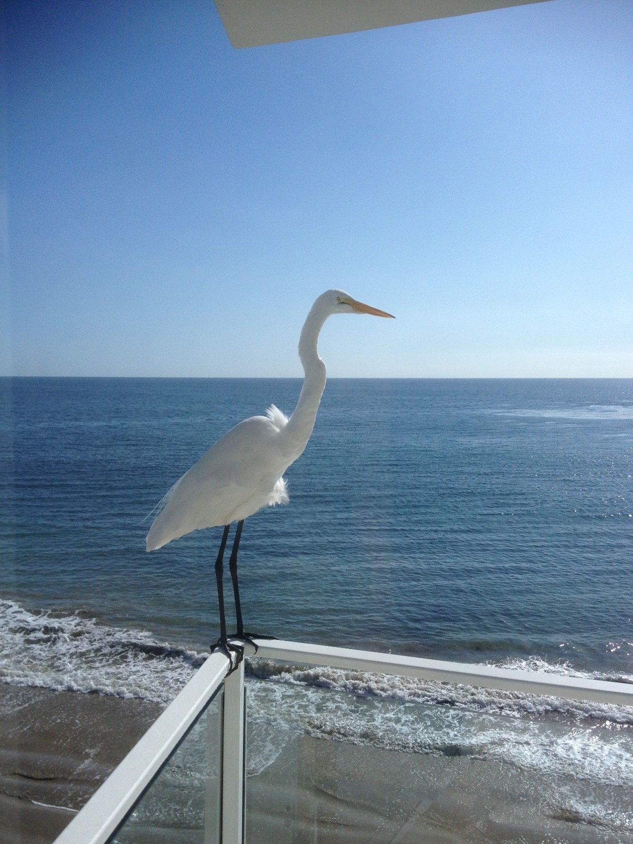 Homehunting2's profile picture. 