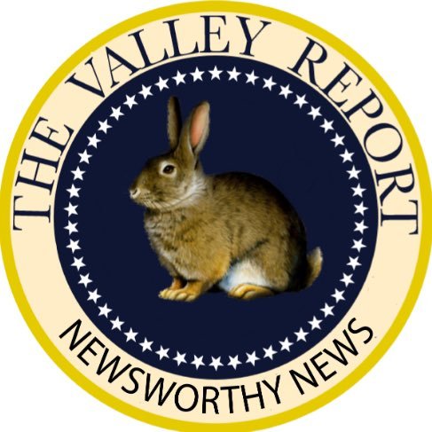 The Valley Report