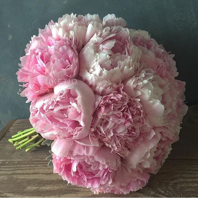 soramame0124's profile picture. 