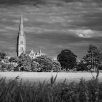 Lady Salisbury (@salislady) 's Twitter Profile