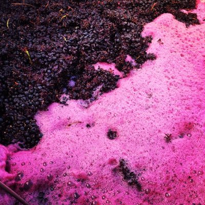 EnfieldWineCo's profile picture. Wines of character.