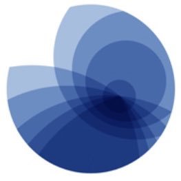 BBSLab - Barcelona Brain Stimulation Lab Profile