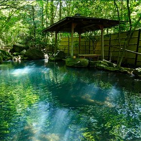 栃木県那須町湯本にございます温泉旅館でございます。四季を感じる会席料理と源泉かけ流しのお風呂が自慢の旅館です♨️