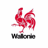 Energie Wallonie(@EnergieWallonie) 's Twitter Profileg