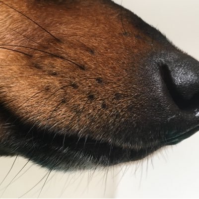 Brit_ta_'s profile picture. @BVJacobMaris