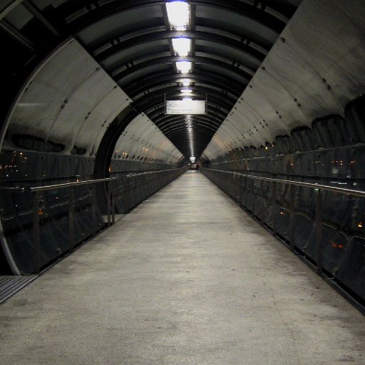 TheEjukashuner's profile picture. A concentrated creative account.