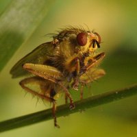 Dr Garlic Sky | @martingarlovsky.bsky.social (@martingarlovsky) 's Twitter Profile Photo