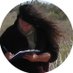 Dr Jackie Courtenay (@jackiecourtenay) Twitter profile photo Dr Jackie Courtenay (@jackiecourtenay) Twitter profile photo