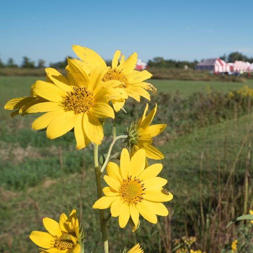 The Gwynne Conservation Area is used year-round for educational programs conducted by natural resource related organizations.