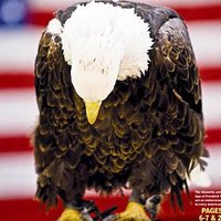 Rogue POTUS Staff (@roguepotusstaff) 's Twitter Profile Photo Rogue POTUS Staff (@roguepotusstaff) 's Twitter Profile Photo