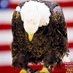 Rogue POTUS Staff (@roguepotusstaff) Twitter profile photo Rogue POTUS Staff (@roguepotusstaff) Twitter profile photo