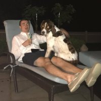 Will Van Allen (@willvanallen) 's Twitter Profile