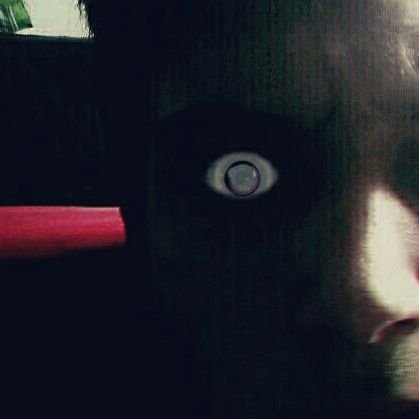 TerheggenTom's profile picture. 