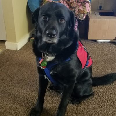 4f75761232a04ac's profile picture. 