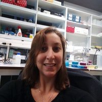 Livia L Mariano (@livialmariano) 's Twitter Profile