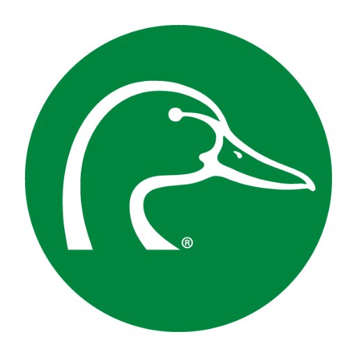 DUCinBC Profile Picture