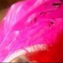 Pareja novata de Maracay 45 años ambos buscando ver y ser vistos y hacer un trío mhm nada de hombres solos