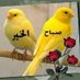 Ahmad Hopy Algyashe (@ahmadhopy) Twitter profile photo Ahmad Hopy Algyashe (@ahmadhopy) Twitter profile photo