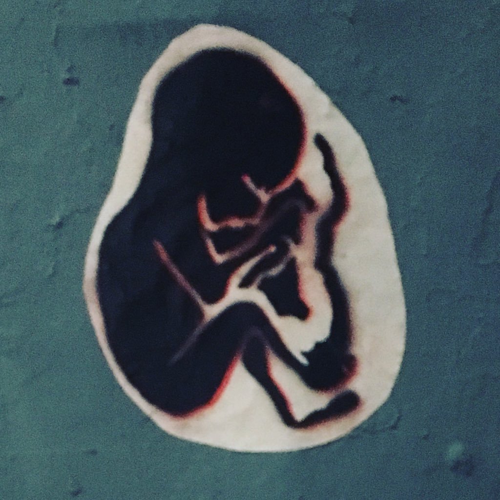 camgreene3's profile picture.