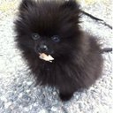 Hans Strand - @strand_hans - Twitter