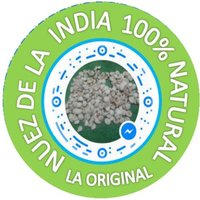 Nuezdelaindiamixcog (@nuezdelaindiam1) 's Twitter Profile