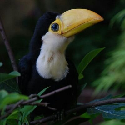 paolez95's profile picture. 