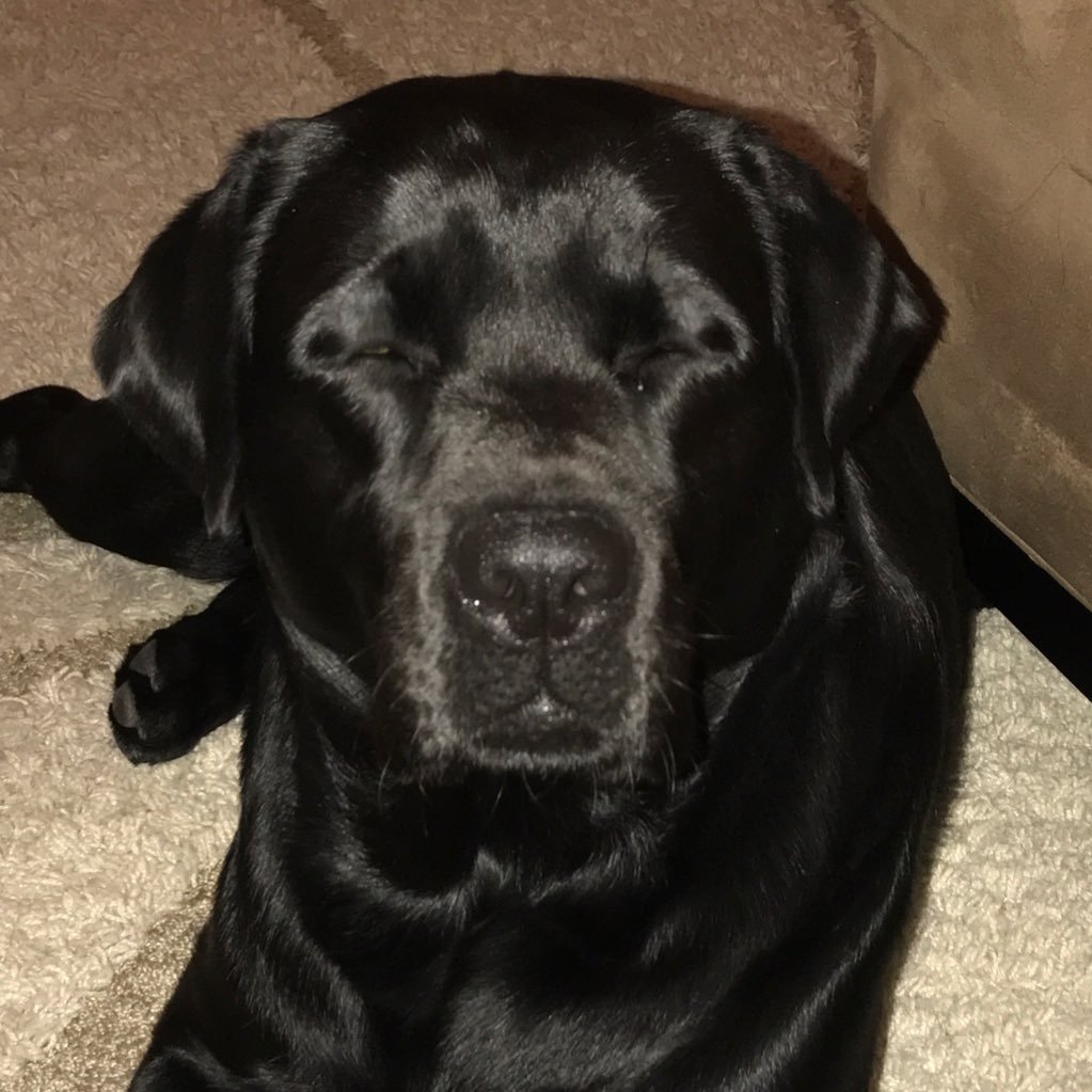 NYMatt510's profile picture. 