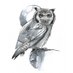 Desert Owl Film & TV (@desertowlfilm) Twitter profile photo Desert Owl Film & TV (@desertowlfilm) Twitter profile photo