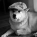 Deczo (@blobmanguy213) Twitter profile photo Deczo (@blobmanguy213) Twitter profile photo