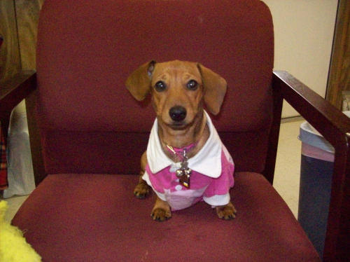 RXTECH8's profile picture. 