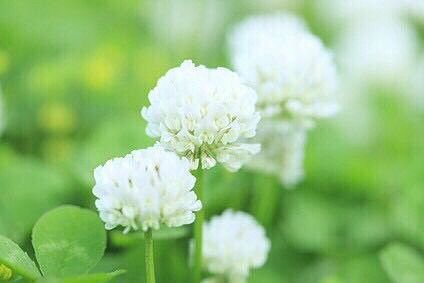 pSlYd1kobcBvXsa's profile picture. 松中3年😋運動大好きです💕バスケ🏀バレー💕
どうぞよろしくおねがいします🎵🎵
無言フォローすいません🙇🏻