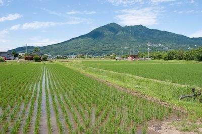 筑波に住んでます。46歳サラリーマン。